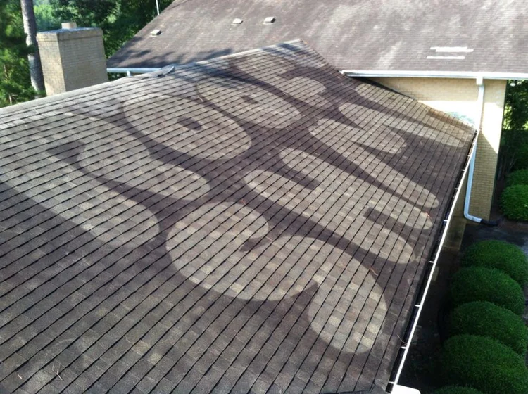 ROOF+ART