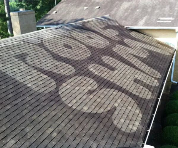 Roof Shampoo
