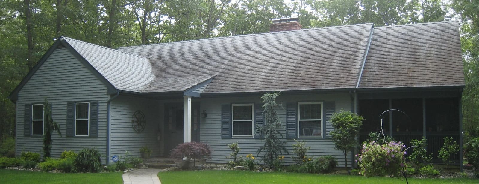 Roof Cleaning - Before